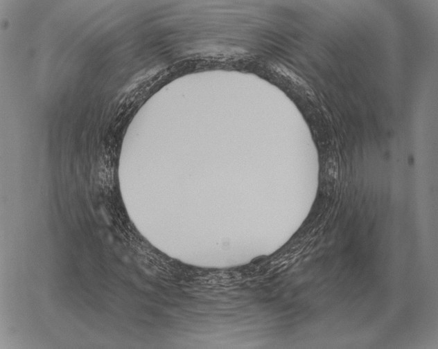 X0000066950869200604211813