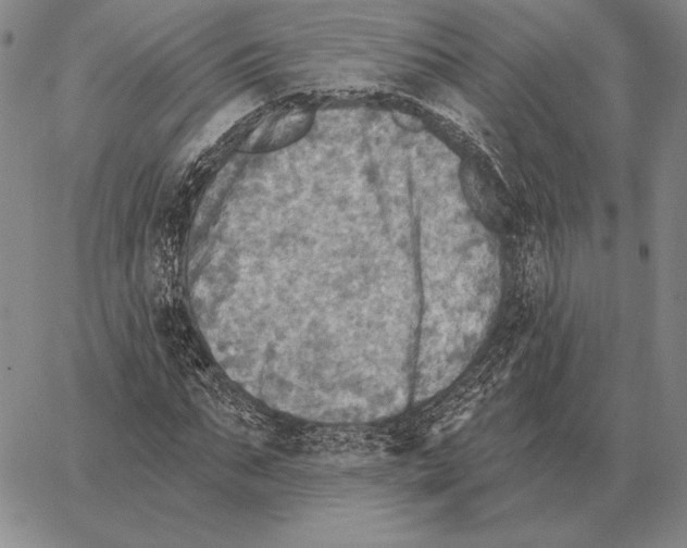 X0000066950871200604211813