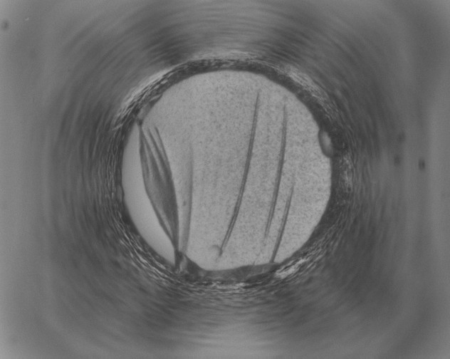 X0000066950872200604211812