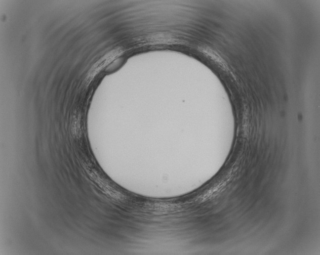 X0000066950873200604211812