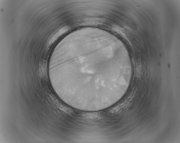 X0000066950874200604211812