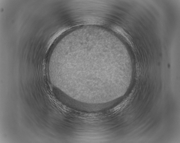 X0000066950875200604211812