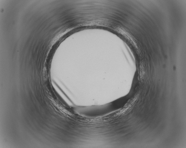 X0000066950876200604211812