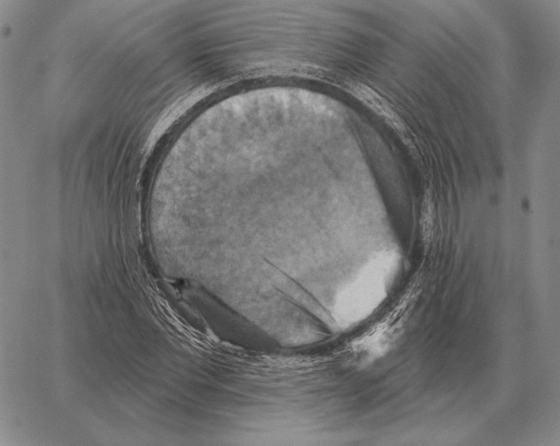 X0000066950877200604211812