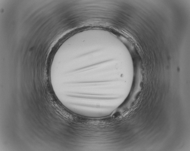 X0000066950880200604211812