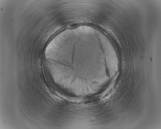 X0000066950881200604211812