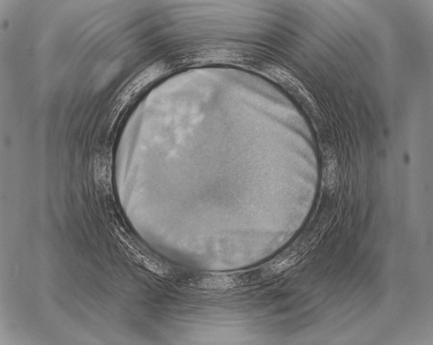 X0000066950882200604211812