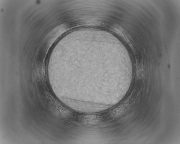 X0000066950883200604211812