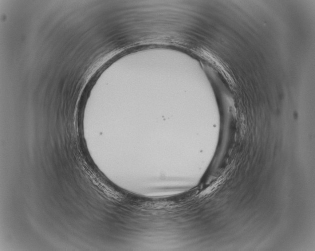 X0000066950884200604211812