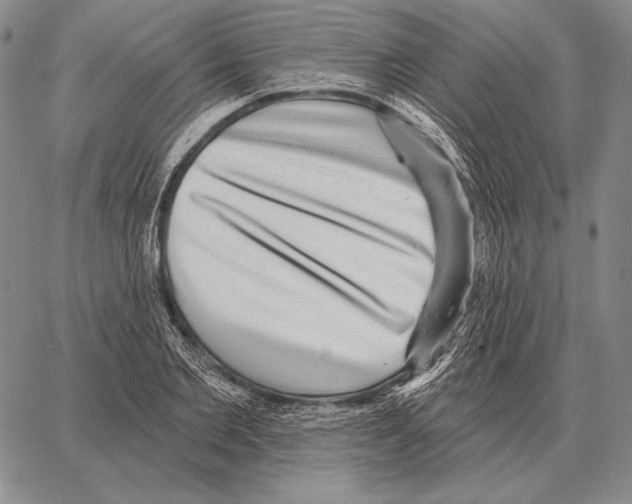 X0000066950885200604211812