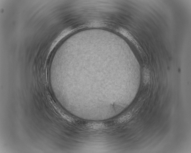 X0000066950886200604211812