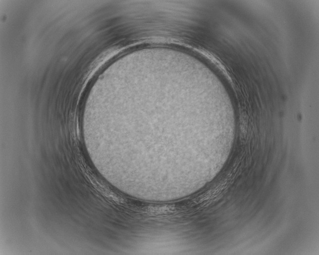 X0000066950887200604211812