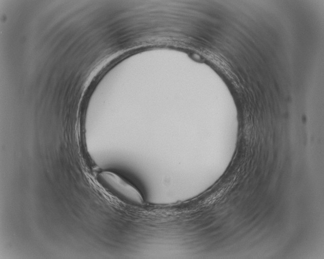 X0000066950888200604211812