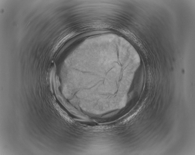 X0000066950889200604211812