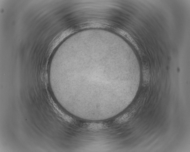 X0000066950890200604211812