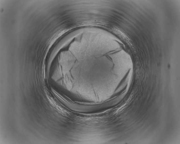 X0000066950892200604211812