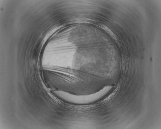 X0000066950893200604211812