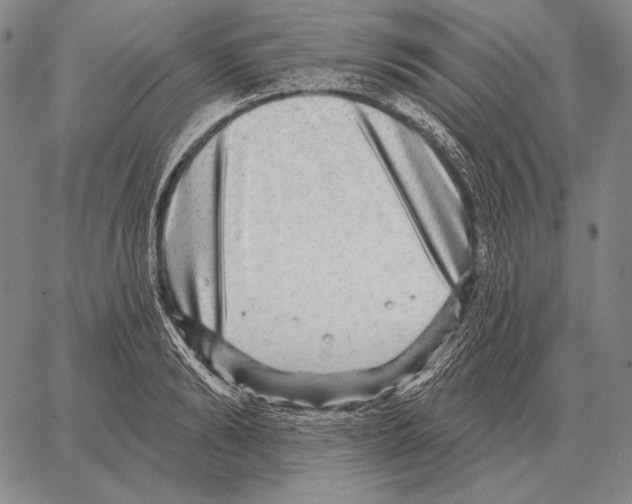 X0000066950894200604211812