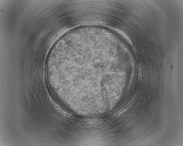 X0000066950895200604211812