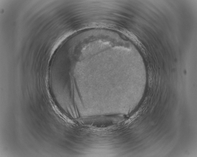 X0000066950896200604211812