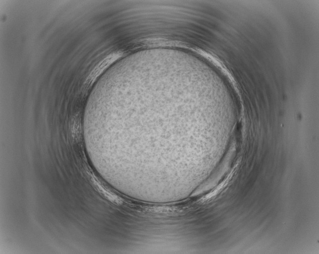 X0000066950897200604211812