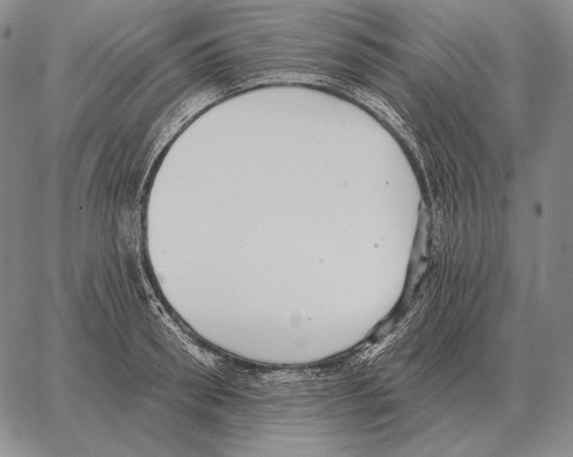 X0000066950898200604211812