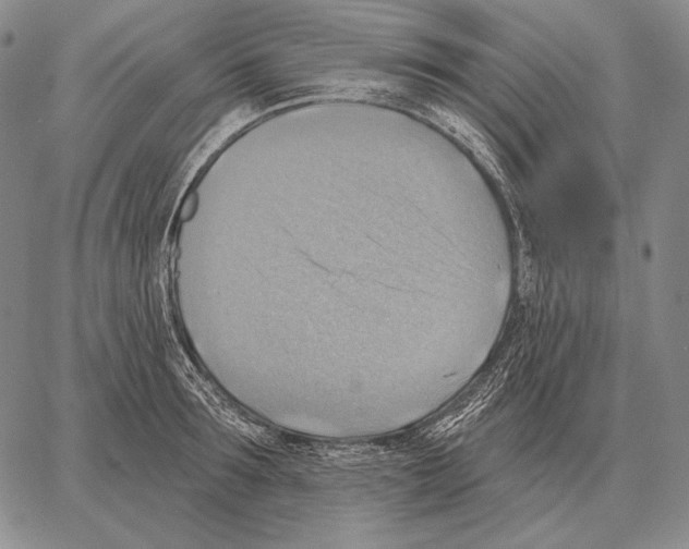 X0000066950899200604211812