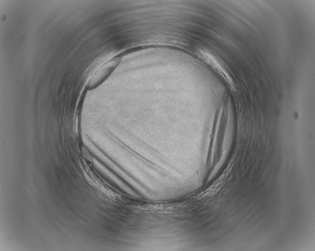 X0000066950900200604211812