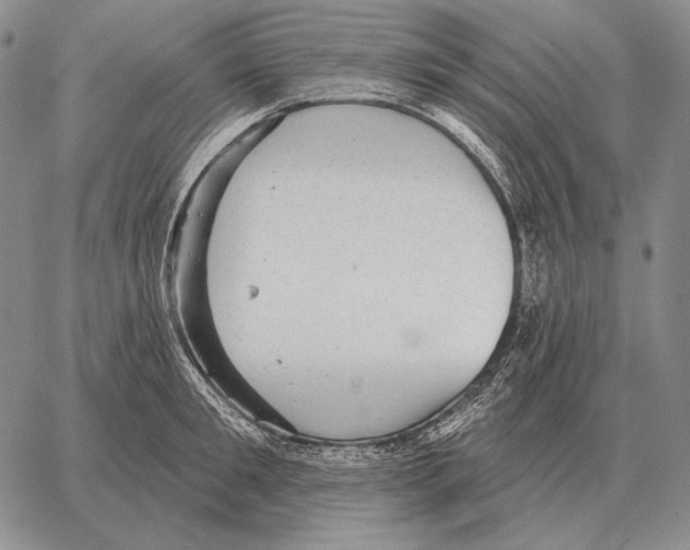 X0000066950901200604211812