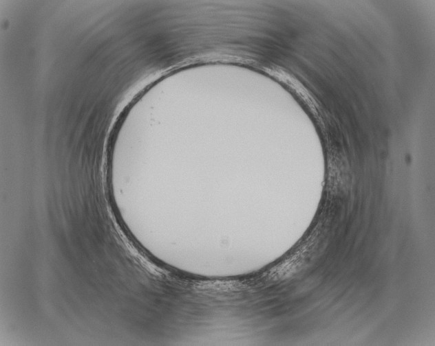 X0000066950902200604211812