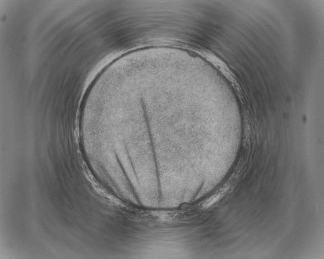 X0000066950904200604211812