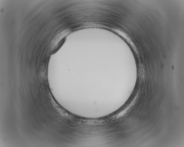 X0000066950905200604211812