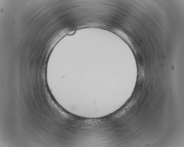 X0000066950906200604211812