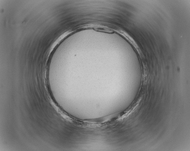 X0000066950909200604211812