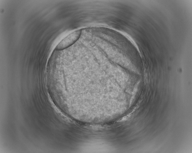 X0000066950911200604211812