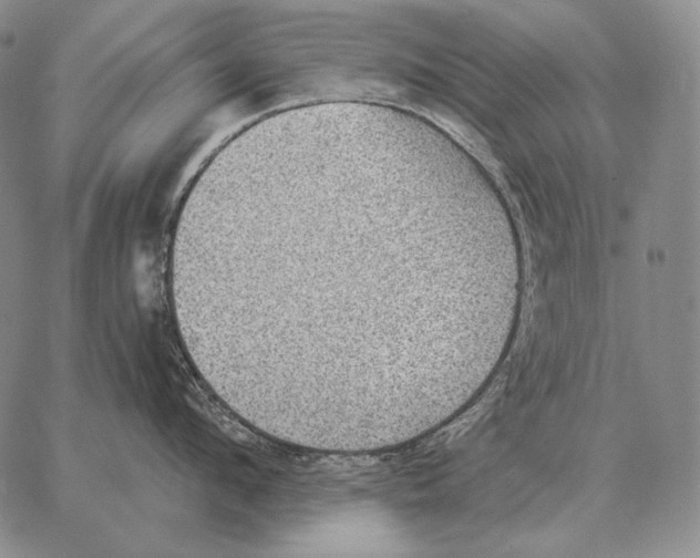 X0000066950912200604211812