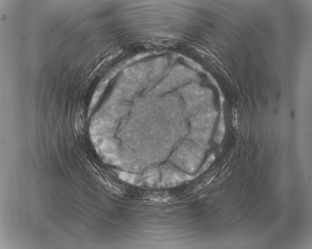 X0000066950915200604211811