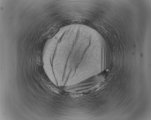 X0000066950916200604211811