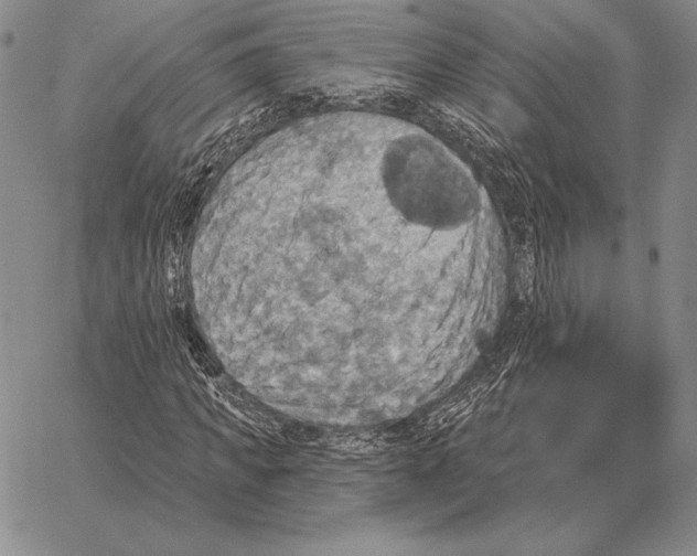 X0000066950917200604211811