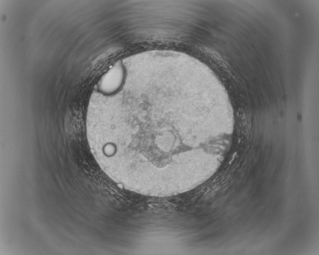 X0000066950918200604211811