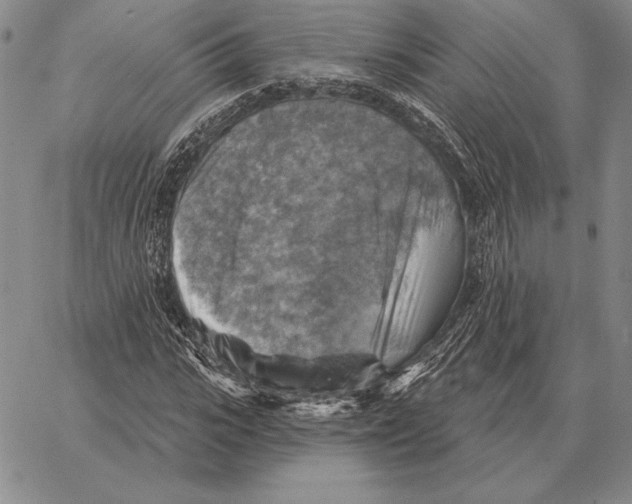 X0000066950919200604211811