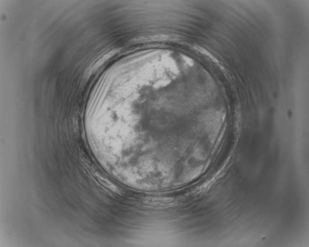 X0000066950921200604211811