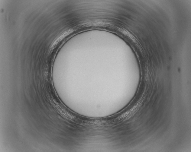 X0000066950922200604211811