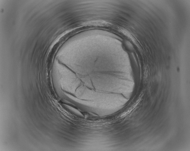 X0000066950923200604211811