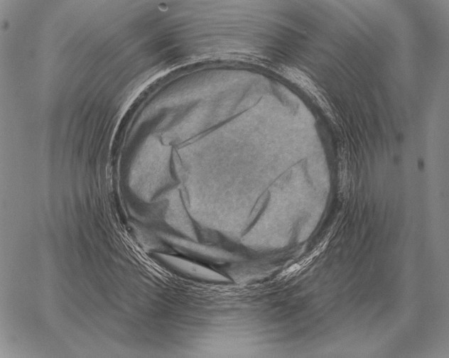 X0000066950924200604211811