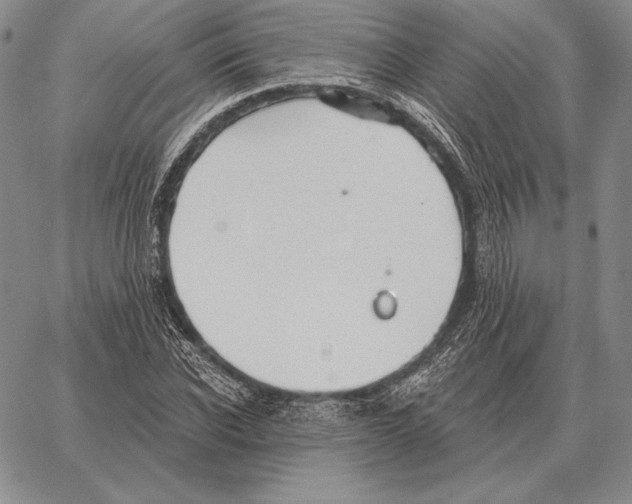 X0000066950926200604211811