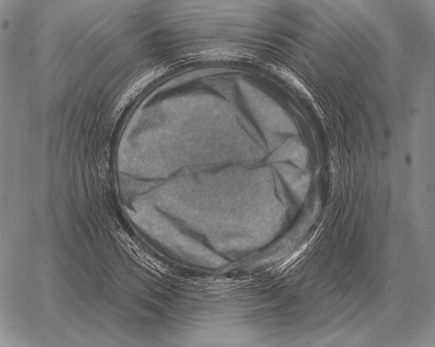 X0000066950930200604211811