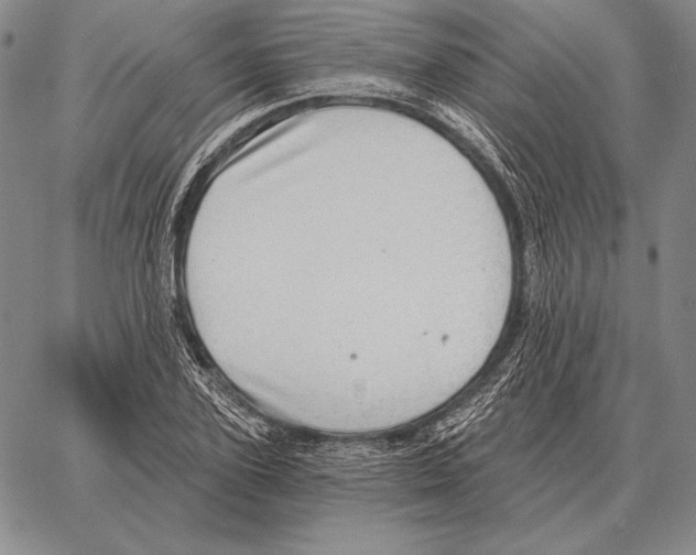 X0000066950931200604211811