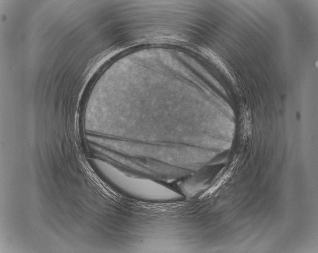 X0000066950932200604211811