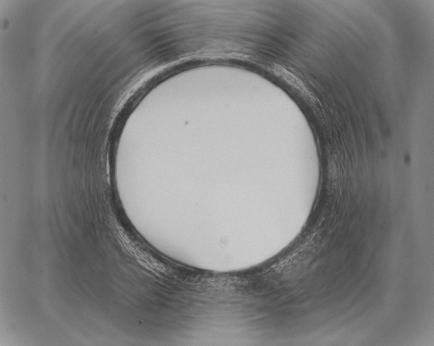 X0000066950934200604211811